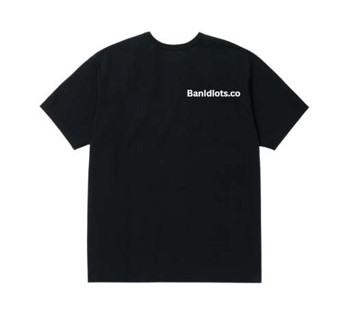 BanIdiots.co T-shirt (black)